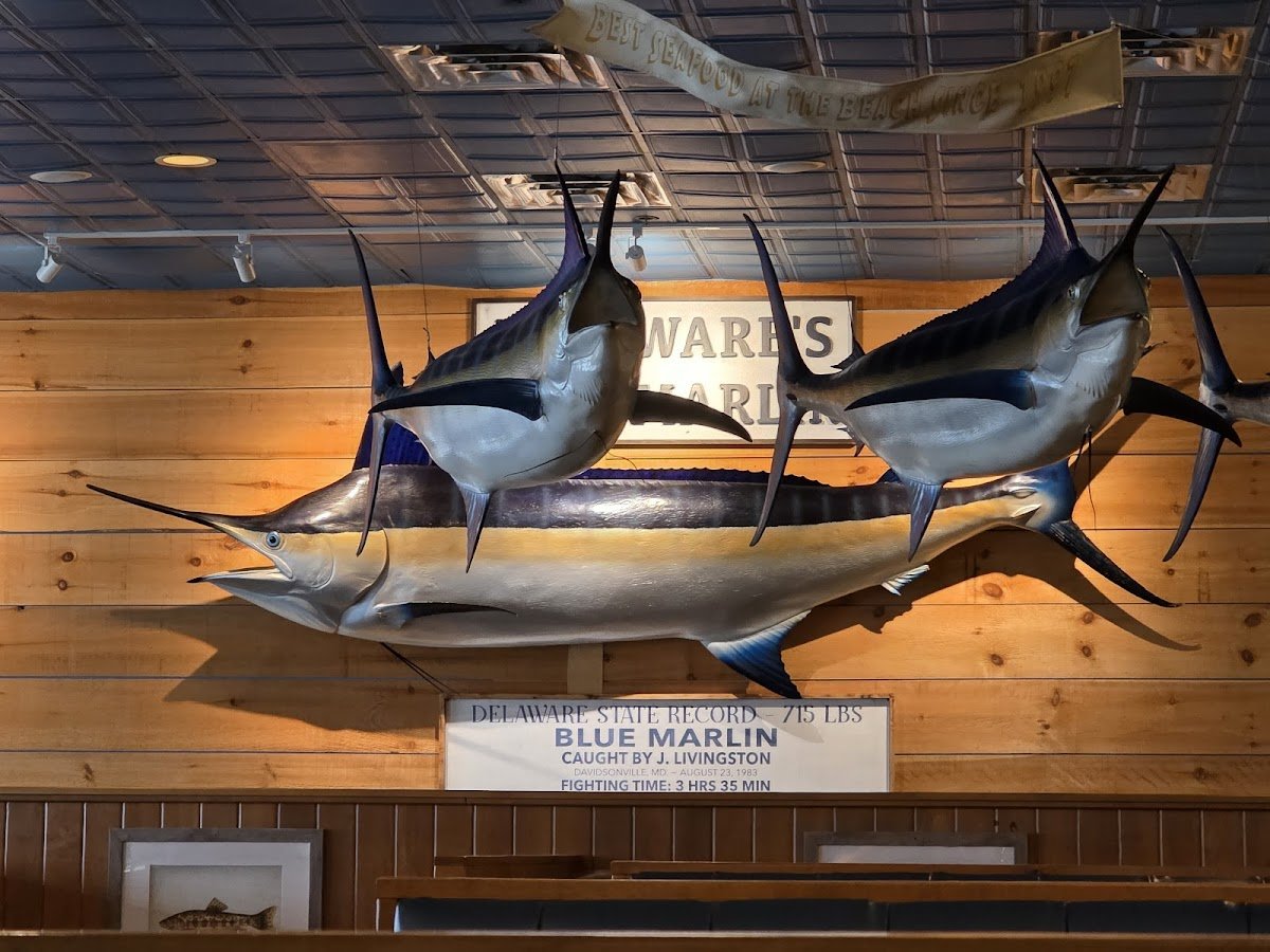 Big Fish Grill Rehoboth restaurant photo