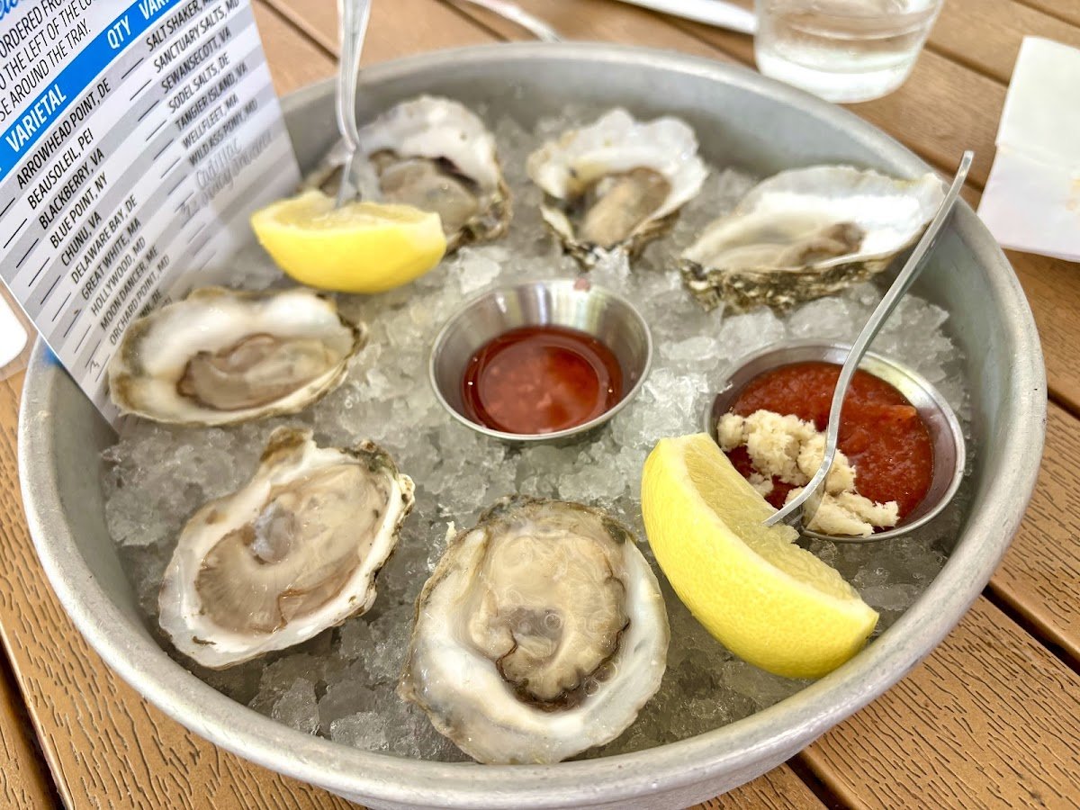 Bluecoast Seafood Grill & Raw Bar Rehoboth restaurant photo