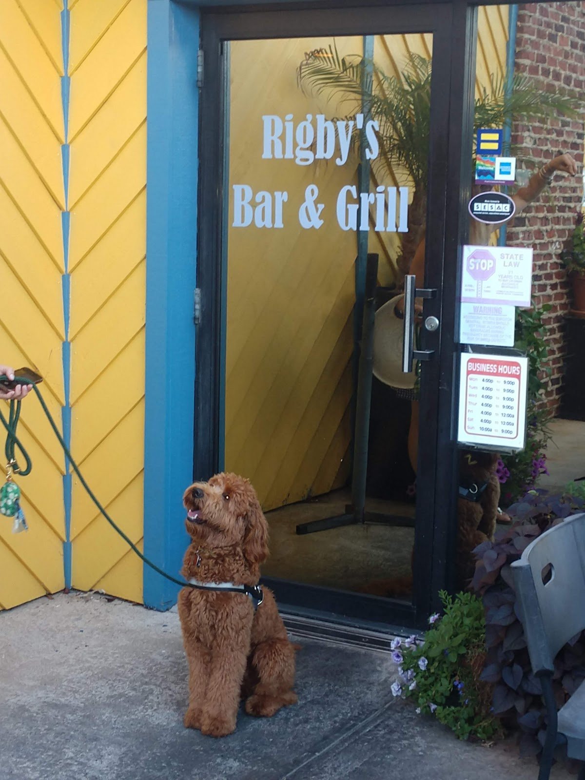 Rigby's Bar & Grill restaurant photo