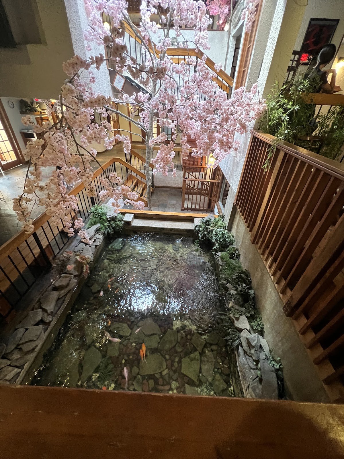 The Cultured Pearl Restaurant & Sushi Bar restaurant photo